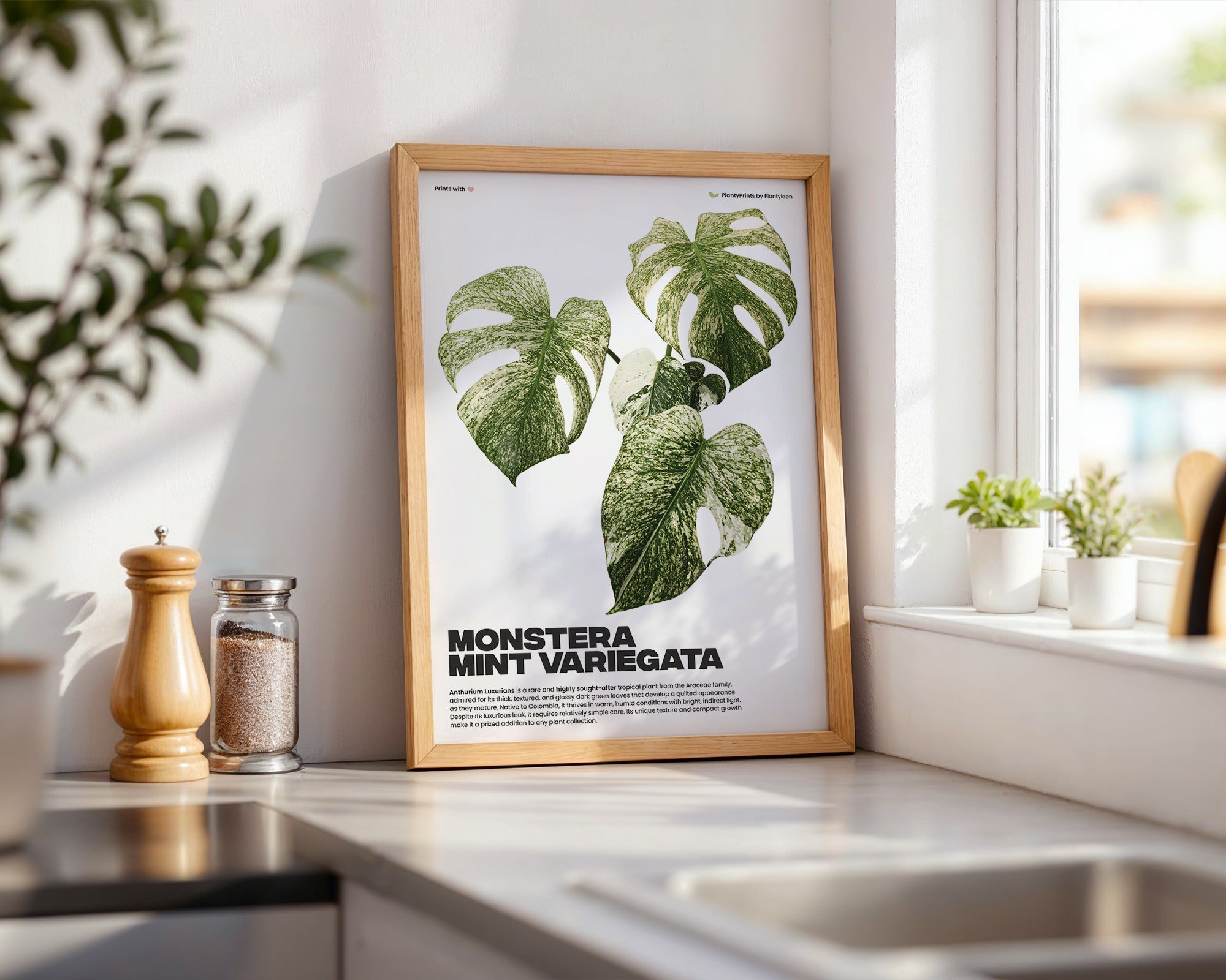 Decorate your kitchen with Plantyprints!